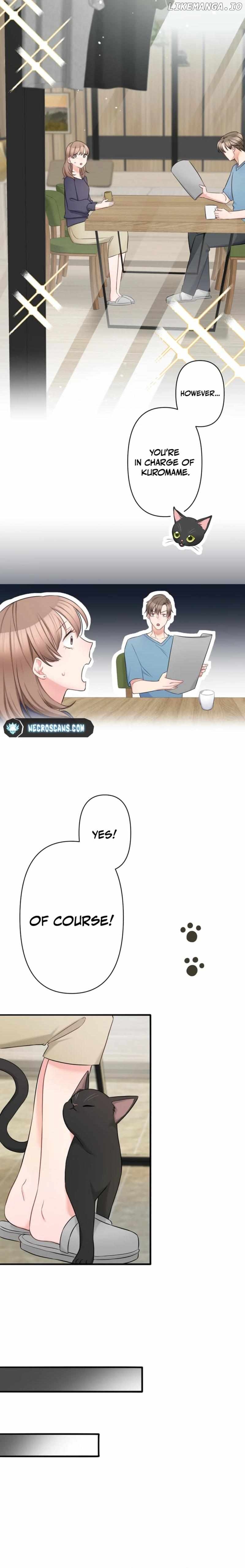 My Boss, the Ideal Man, Dotes on Me Chapter 3 - page 6