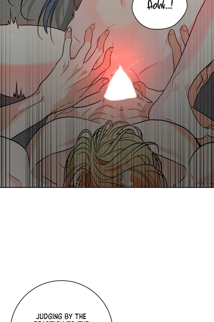 The Saintess's Petals Become Wet Chapter 2 - page 4