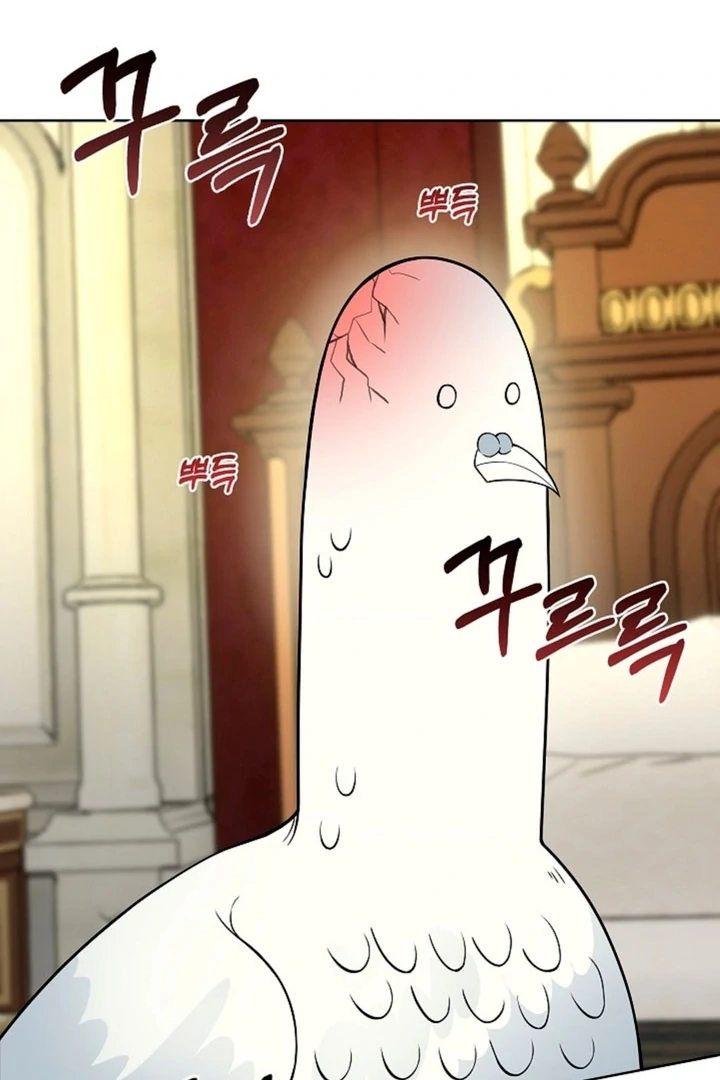 The Saintess's Petals Become Wet Chapter 11 - page 47