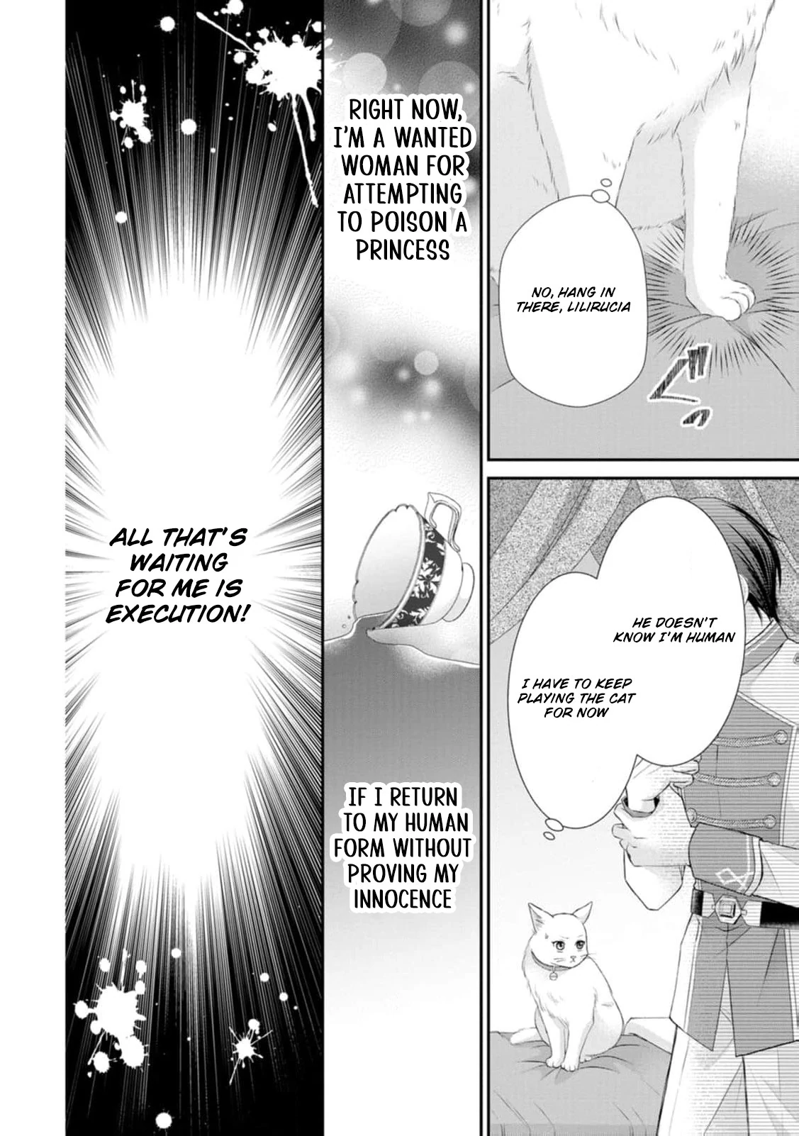 The Villainess Cursed into a Cat Is Taken In by the Crown Prince Chapter 1 - page 9
