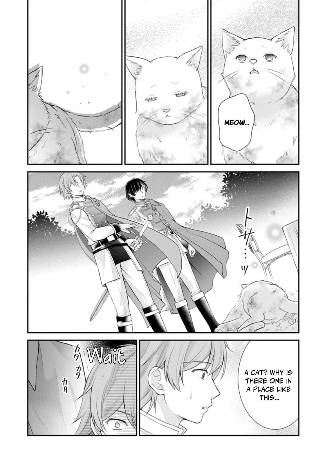 The Villainess Cursed into a Cat Is Taken In by the Crown Prince Chapter 2 - page 23