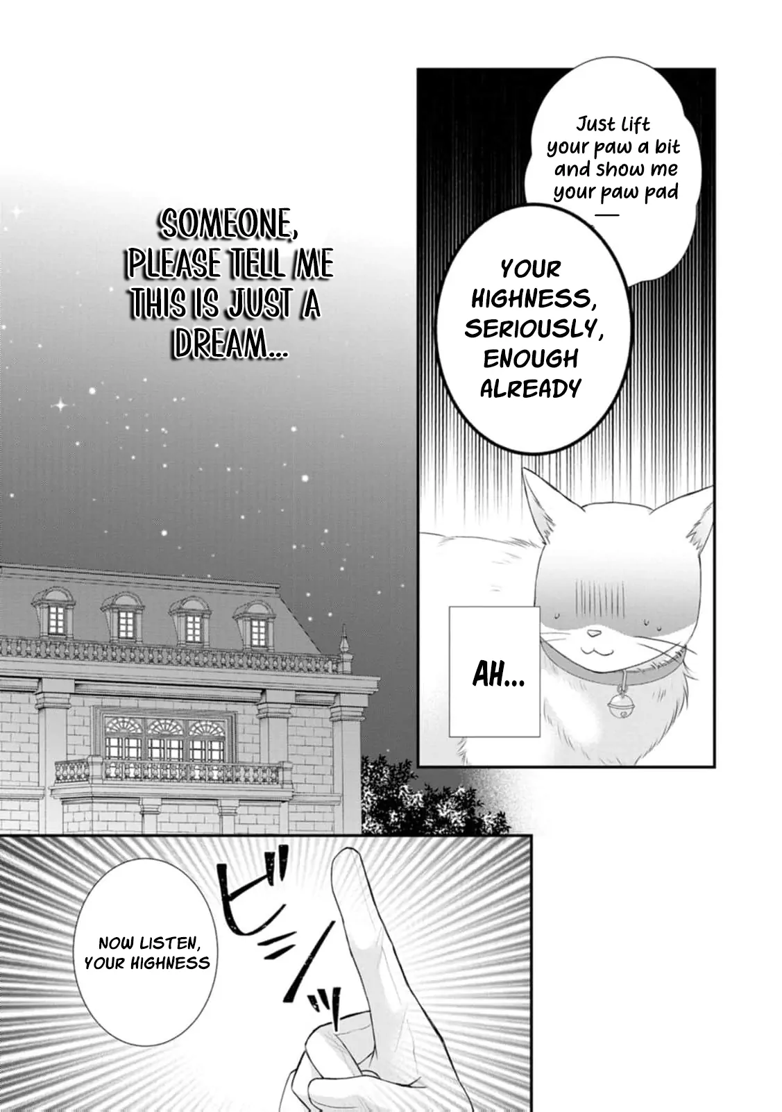 The Villainess Cursed into a Cat Is Taken In by the Crown Prince Chapter 3 - page 17