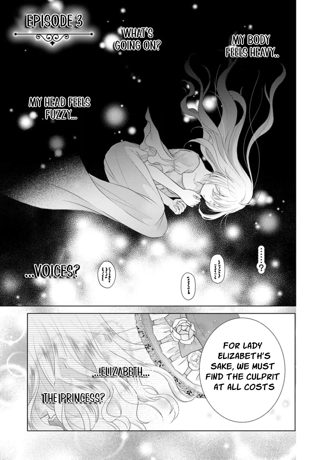 The Villainess Cursed into a Cat Is Taken In by the Crown Prince Chapter 3 - page 5