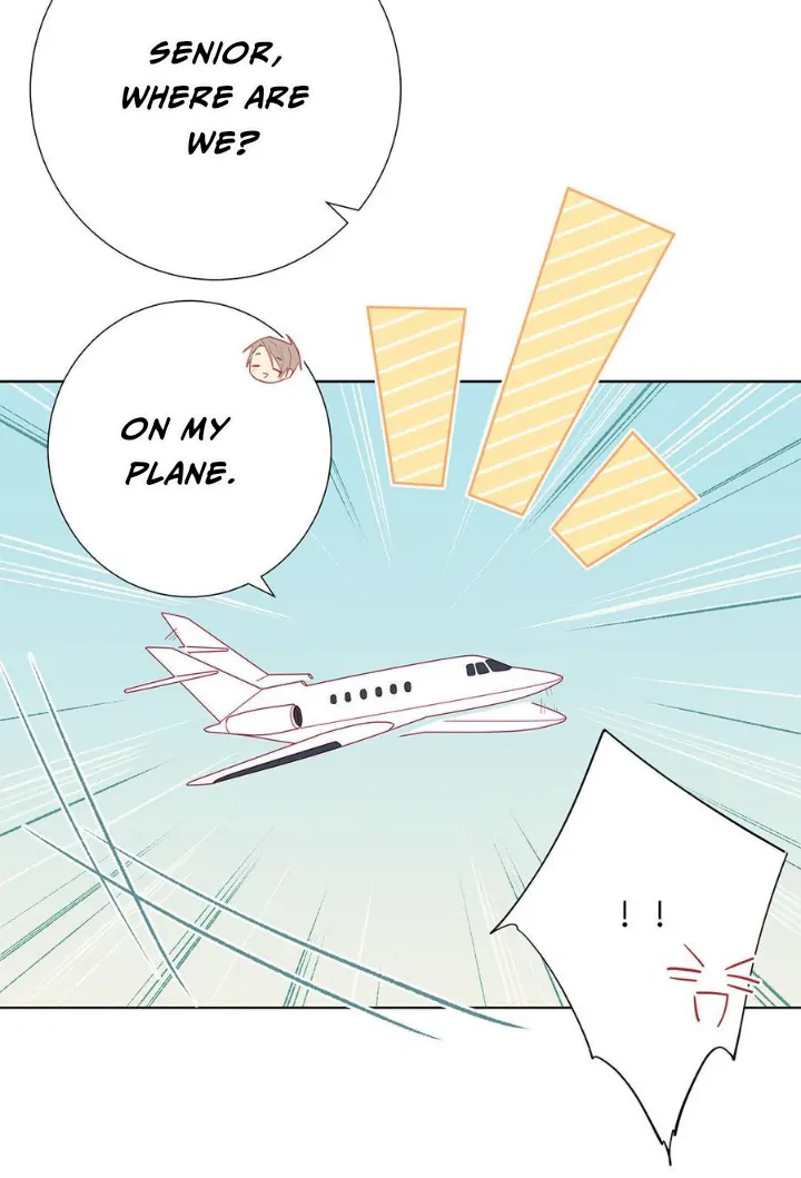 In Search Of The Twelve Golden Hairpins Chapter 68 - page 19