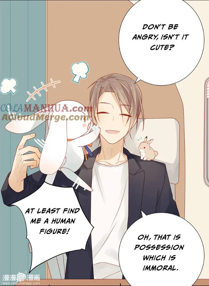 In Search Of The Twelve Golden Hairpins Chapter 69 - page 3