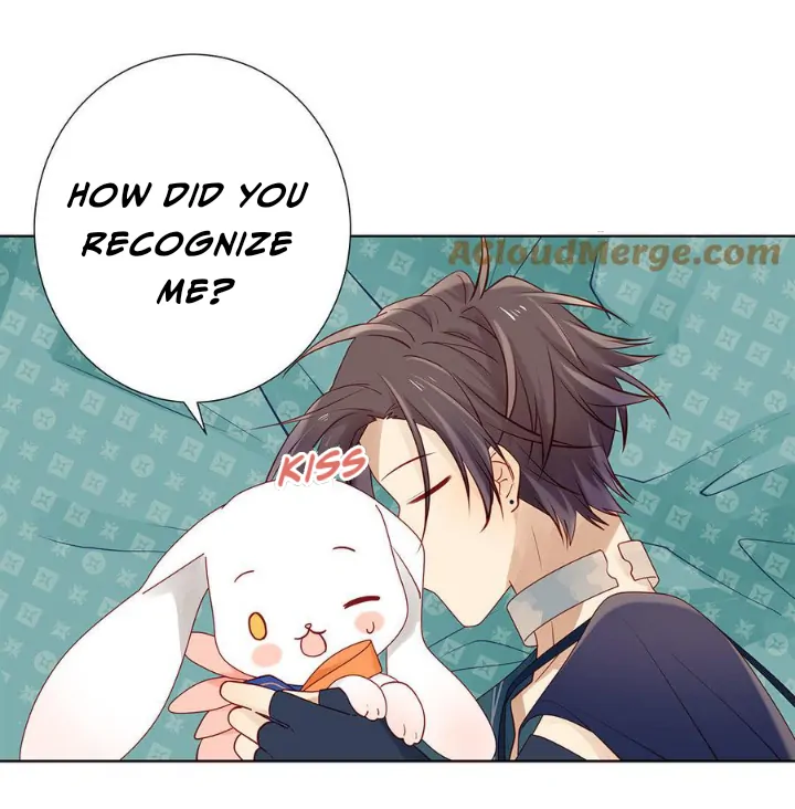In Search Of The Twelve Golden Hairpins Chapter 70 - page 29