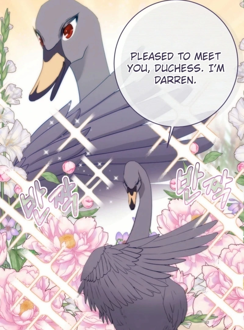 I Became The Black Swan Mother of The White Swan Princess Chapter 24 - page 76