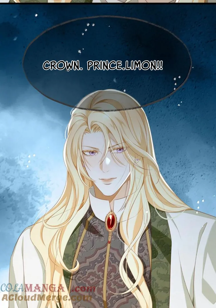 I Was Reborn as His Highness the Prince's Little Evil Dragon Chapter 84 - page 36