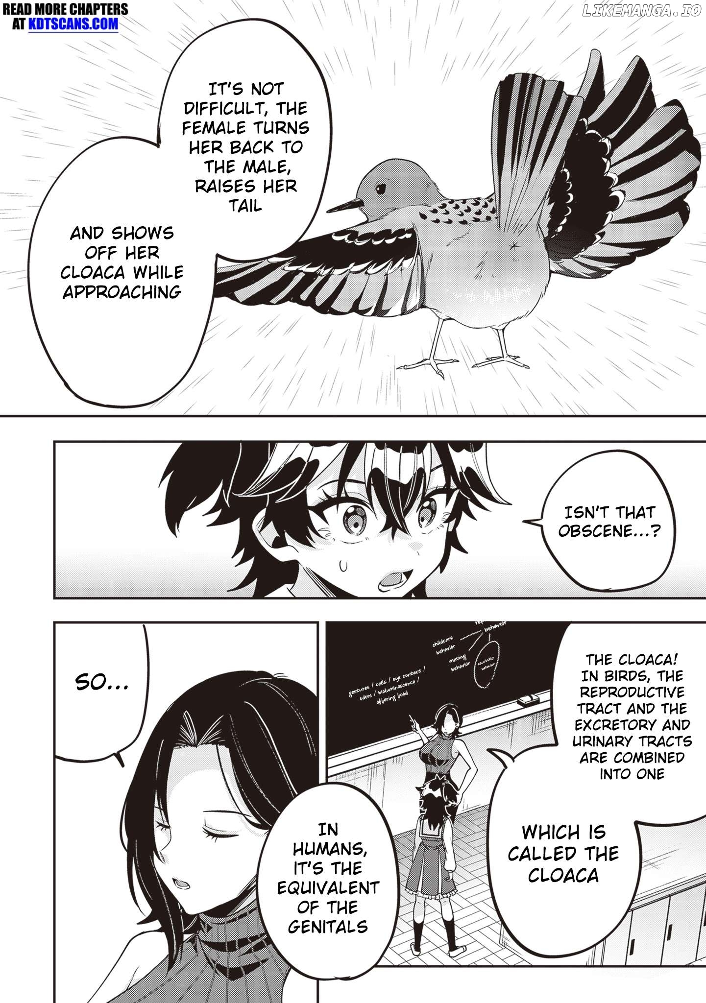 Hikaru To Hikaru Chapter 16 - page 13