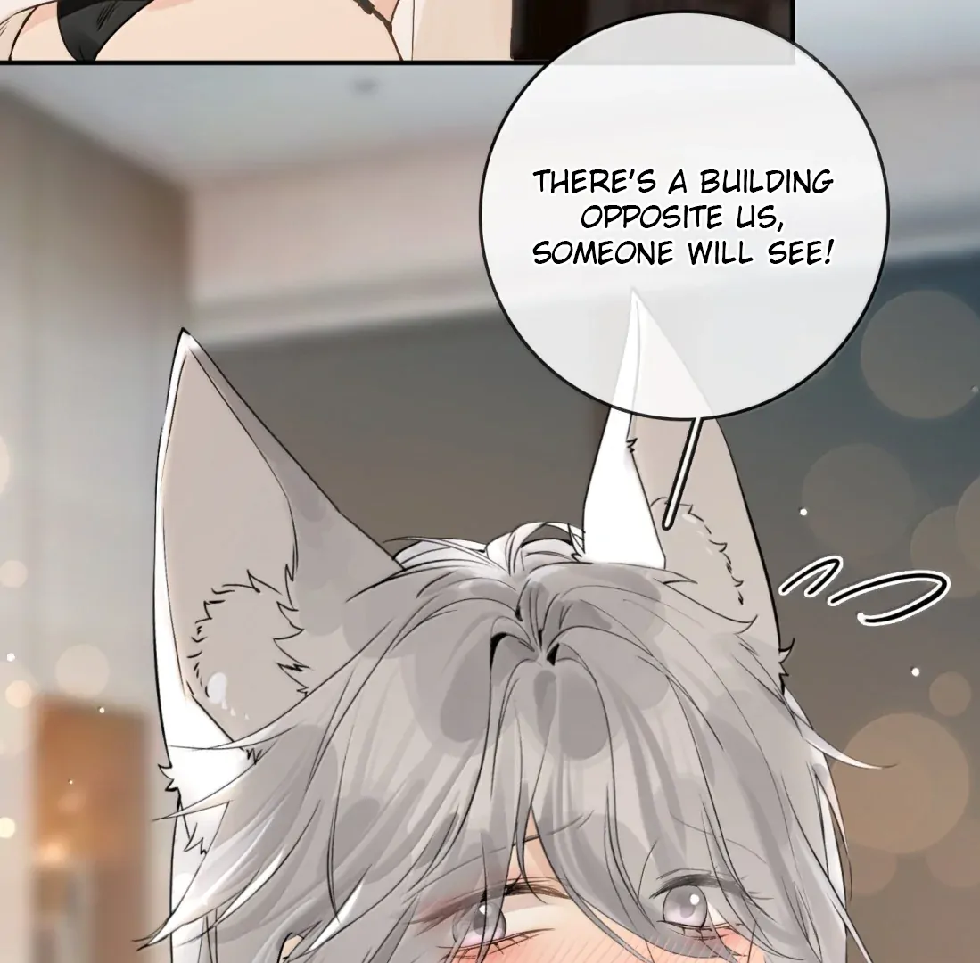 Lang Xiaojie He Ta De Huli Meimei Chapter 70.5 - page 18