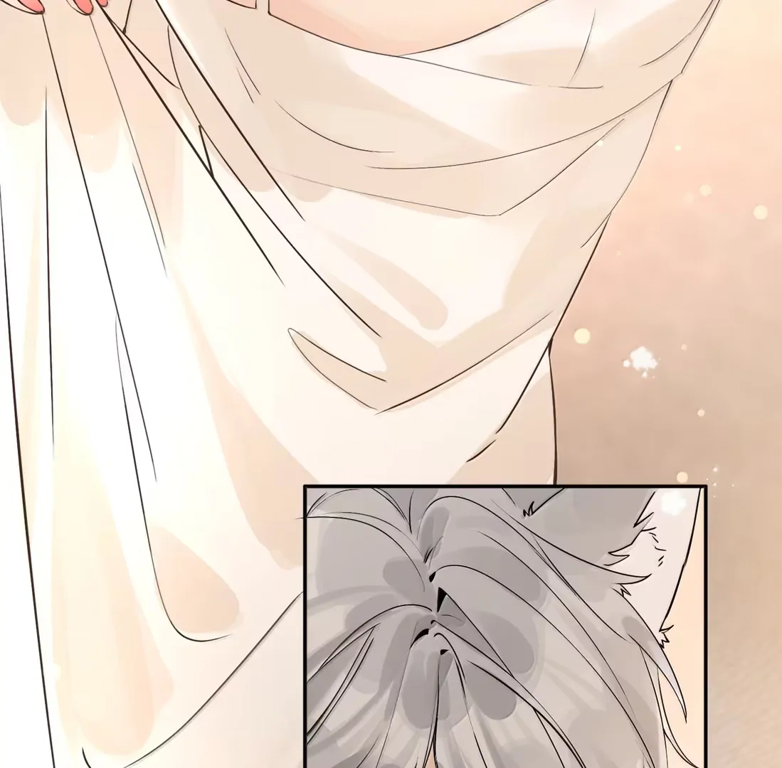 Lang Xiaojie He Ta De Huli Meimei Chapter 70.5 - page 20