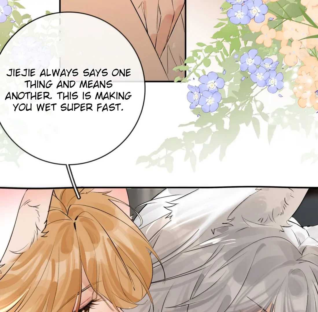 Lang Xiaojie He Ta De Huli Meimei Chapter 70.5 - page 23