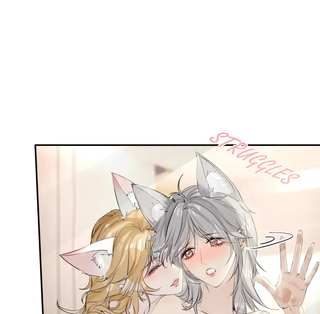 Lang Xiaojie He Ta De Huli Meimei Chapter 70.5 - page 31