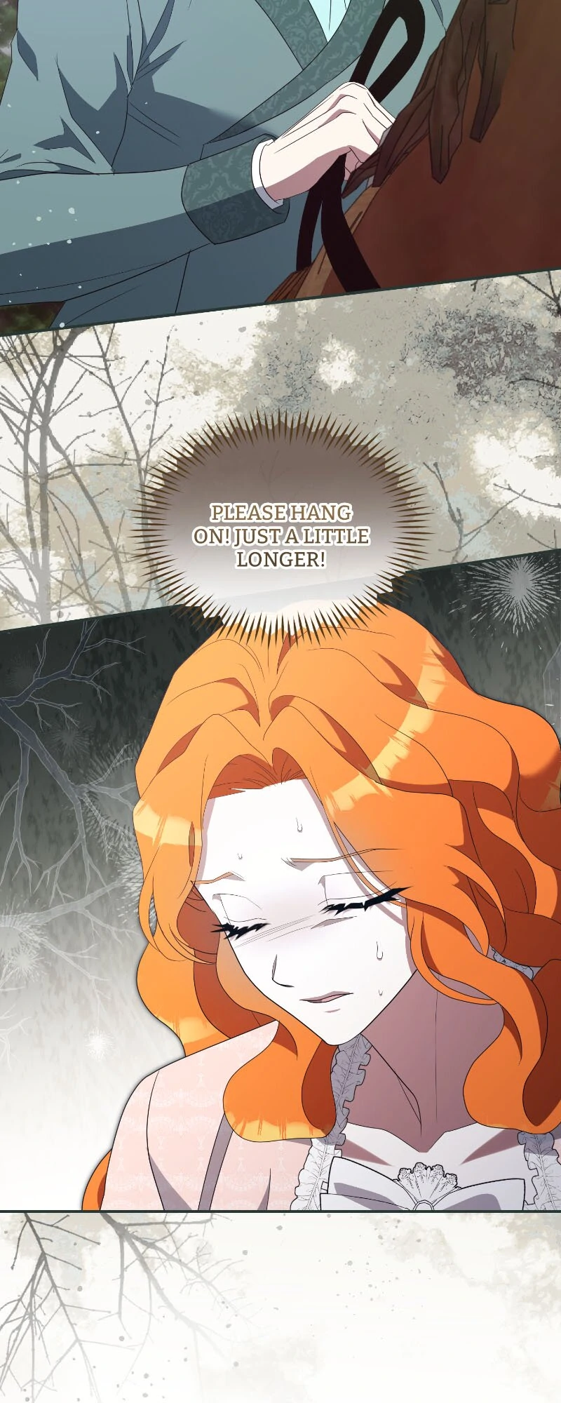 To Those Who Long for My Destruction Chapter 118 - page 66