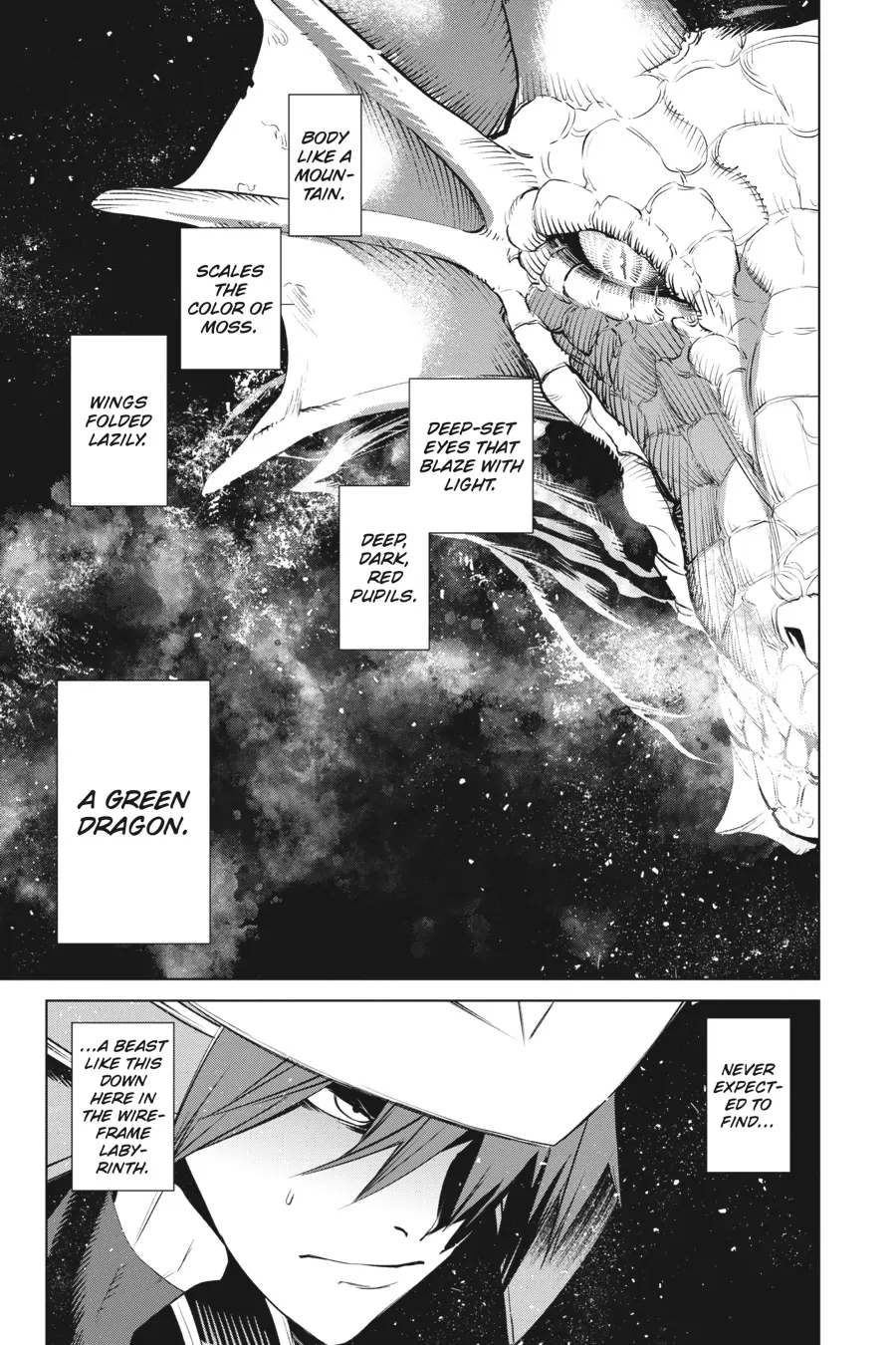 Goblin Slayer Gaiden 2: Tsubanari no Daikatana Chapter 29 - page 9