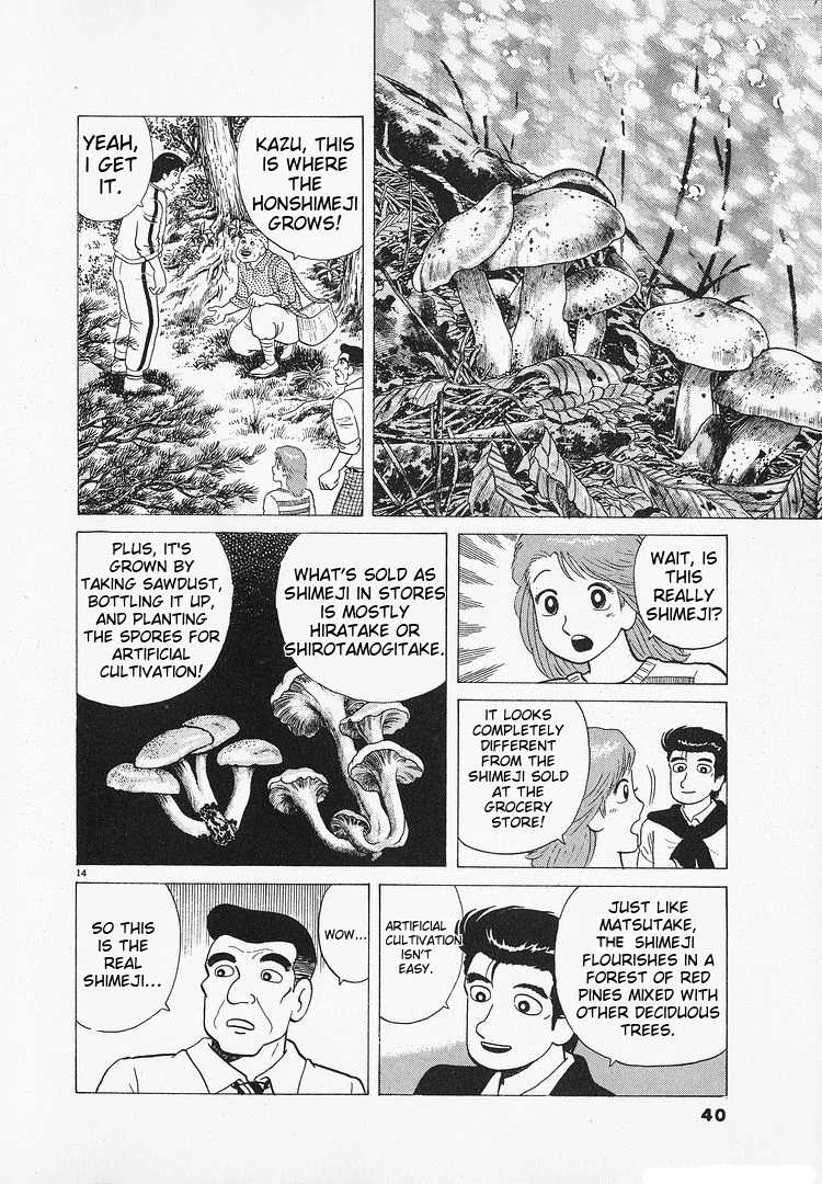 Oishinbo - Manga Chapter 179 - page 14