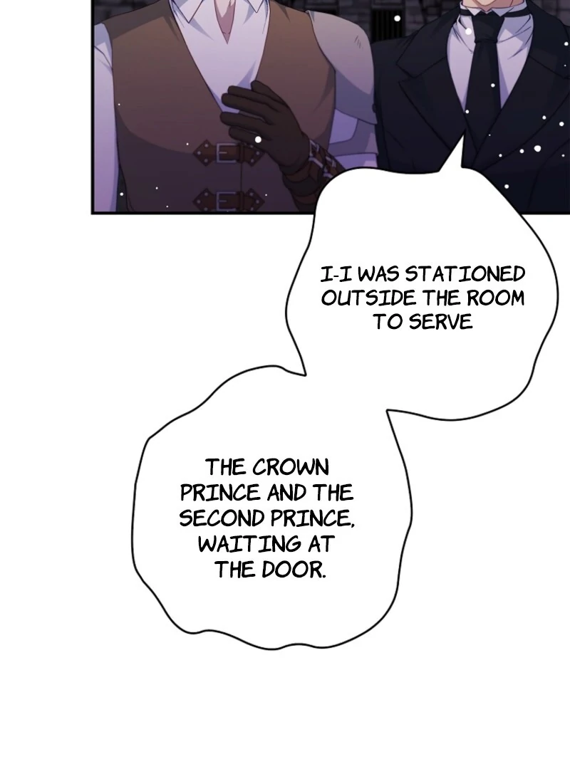 The Fake Lady of House Silkisia Chapter 106 - page 25