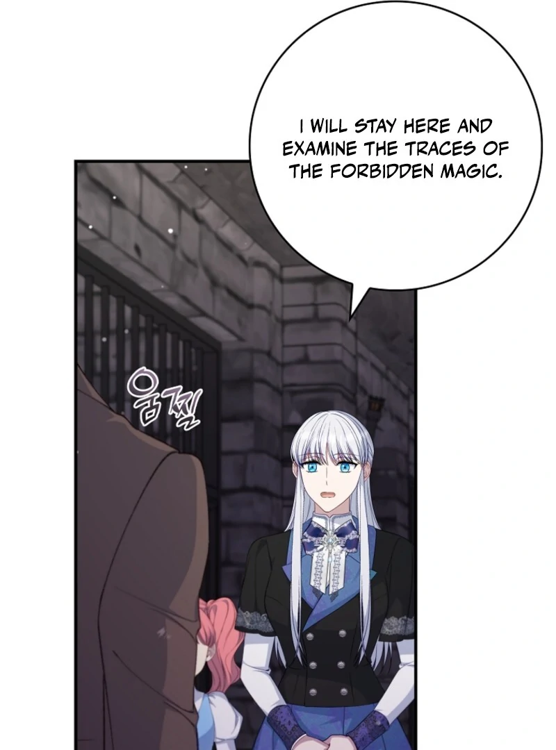 The Fake Lady of House Silkisia Chapter 106 - page 46