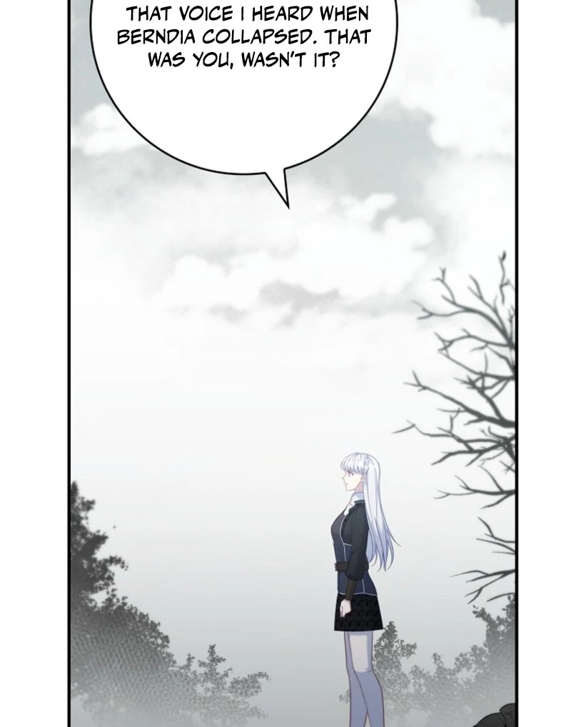 The Fake Lady of House Silkisia Chapter 106 - page 79