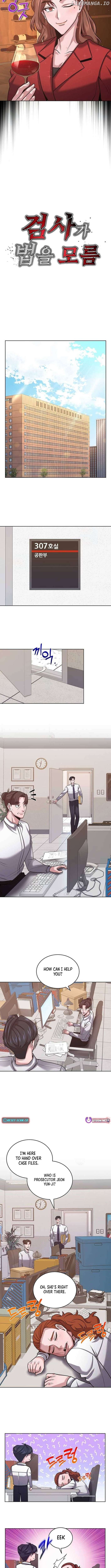 The Prosecutor Doesn’t Know The Law Chapter 17 - page 2