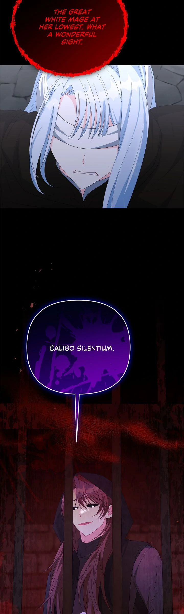 No, I Only Charmed the Princess! Chapter 73 - page 2