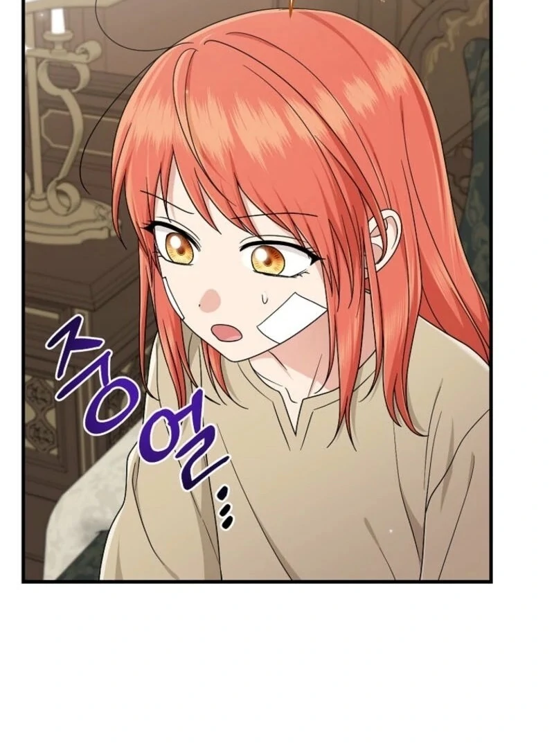 The Unintentionally Ideal Adopted Daughter Chapter 96 - page 96