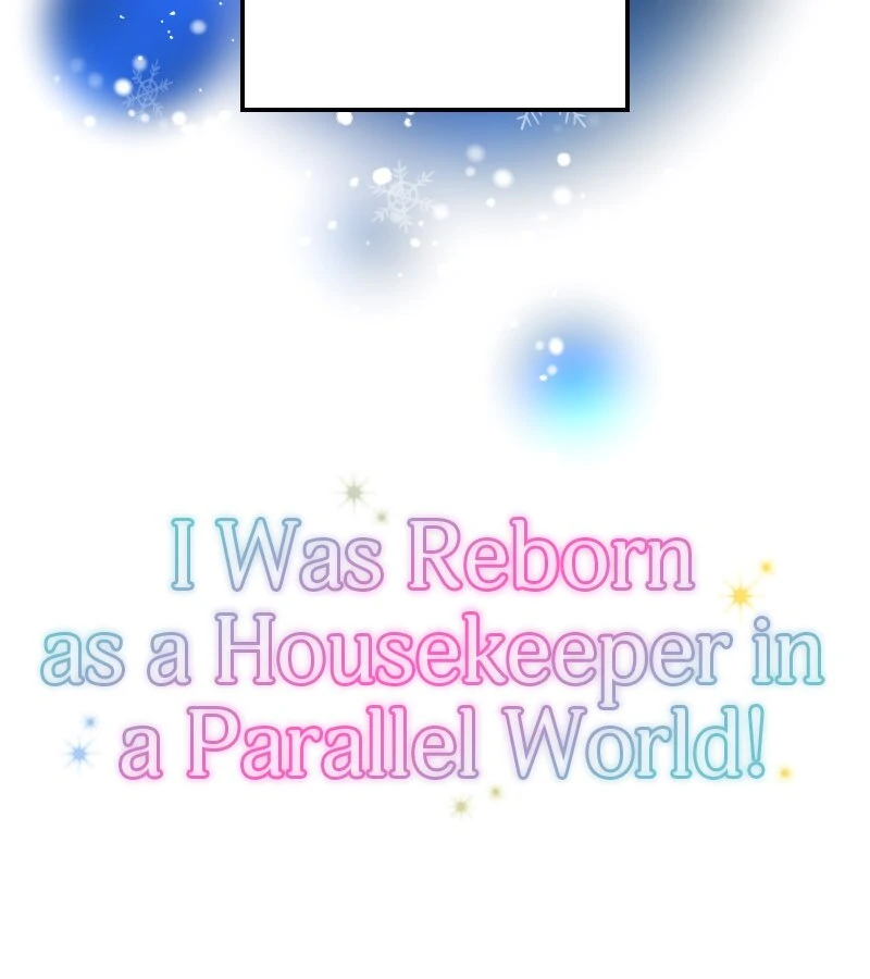 I was Reborn as a Housekeeper in a Parallel World! Chapter 244 - page 2