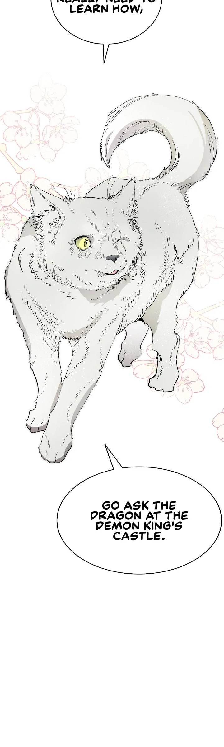 The Skeleton Becomes a Cat Dad Chapter 214 - page 3