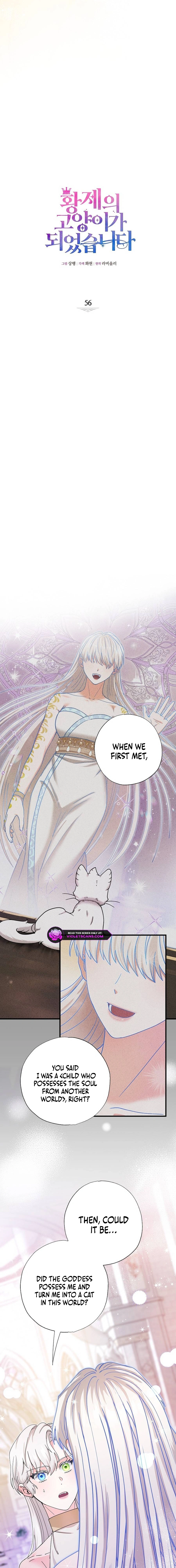 I Became the Emperor’s Cat Chapter 56 - page 2