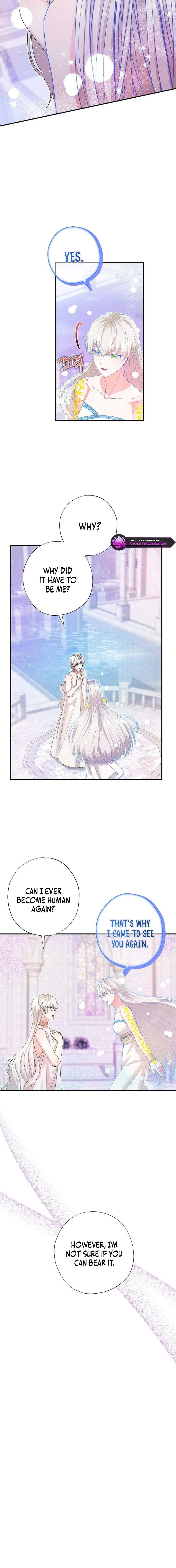 I Became the Emperor’s Cat Chapter 56 - page 3