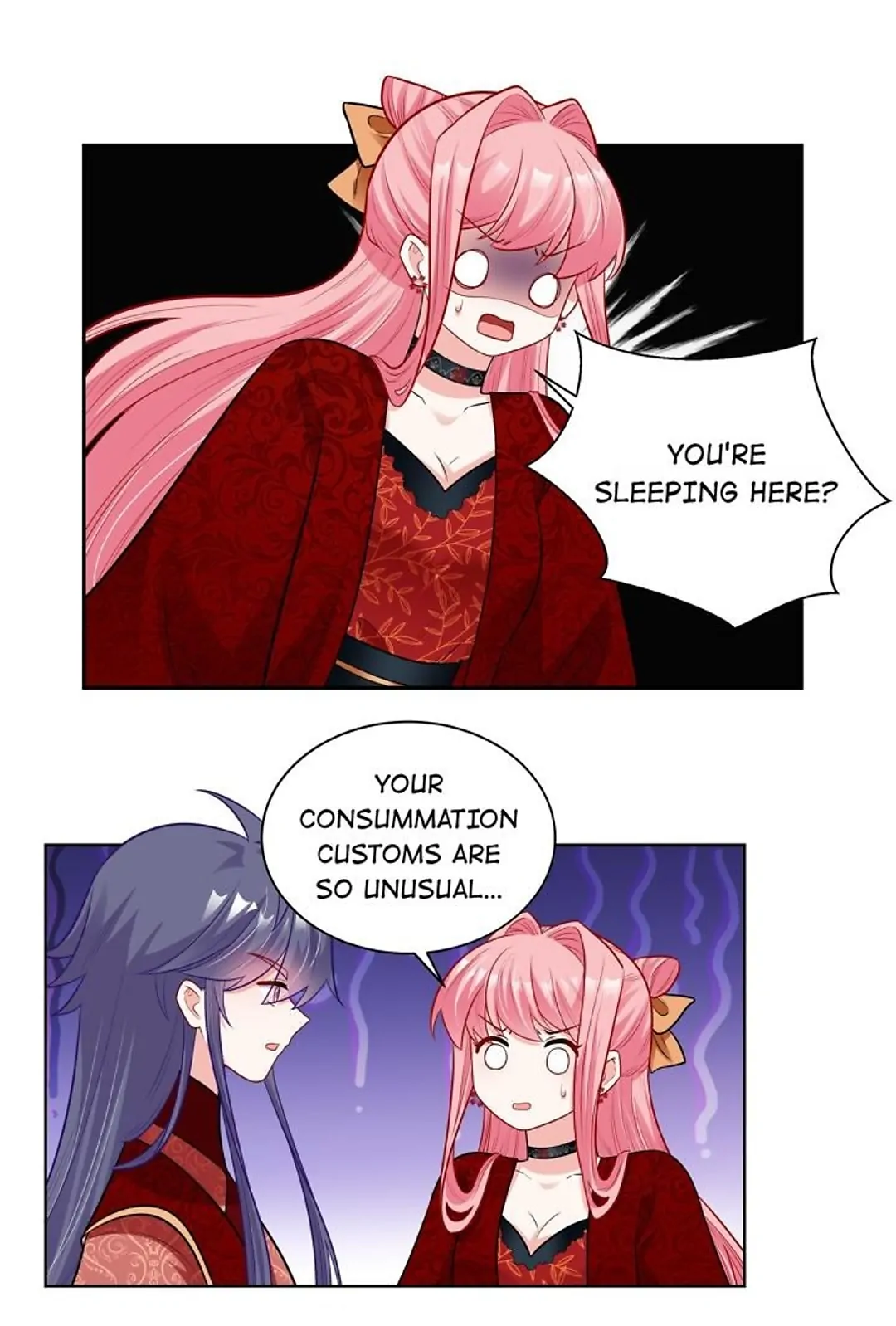 The promising prince consort Chapter 47 - page 13