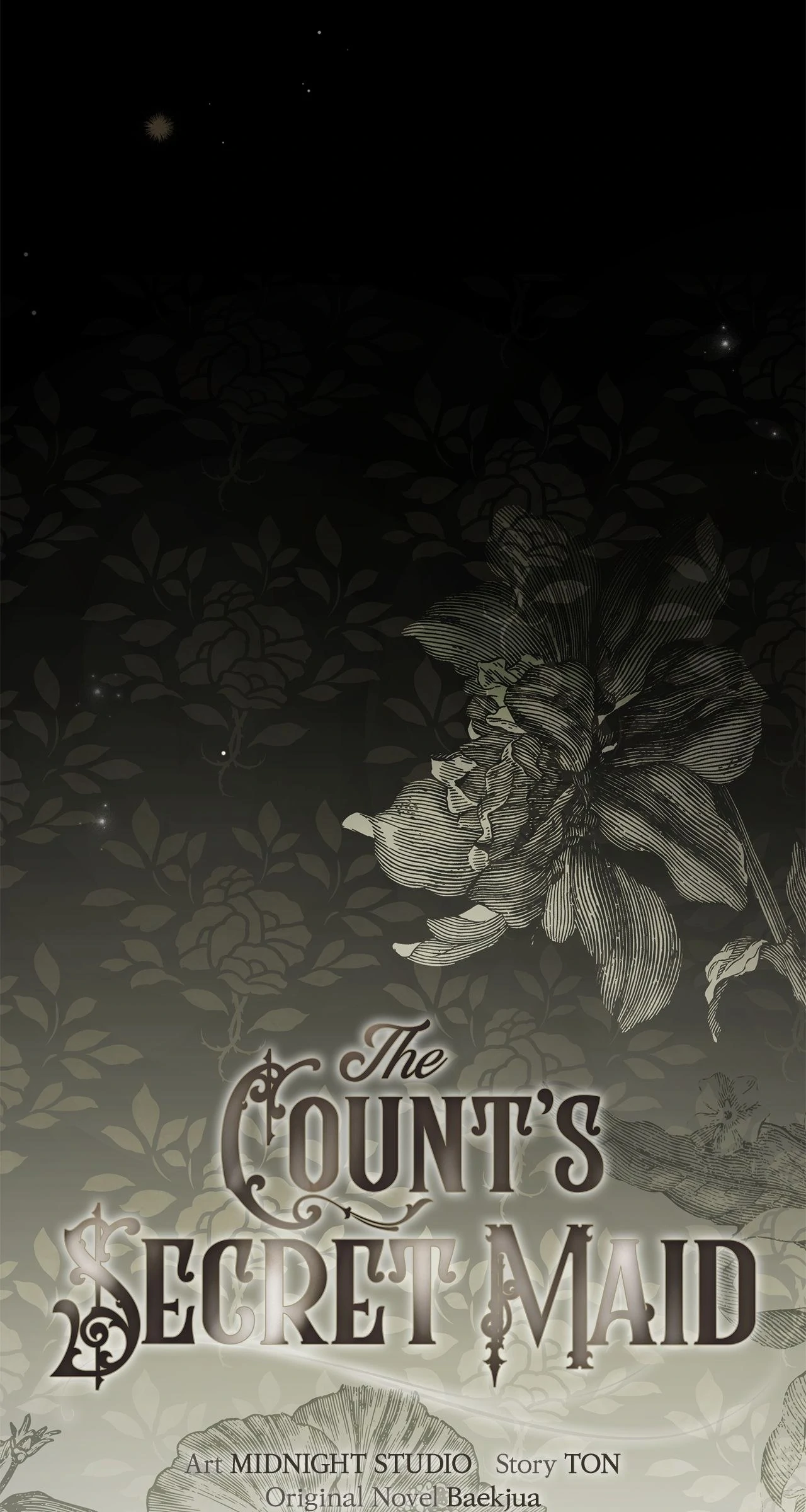 The Count’s Secret Maid Chapter 46 - page 28