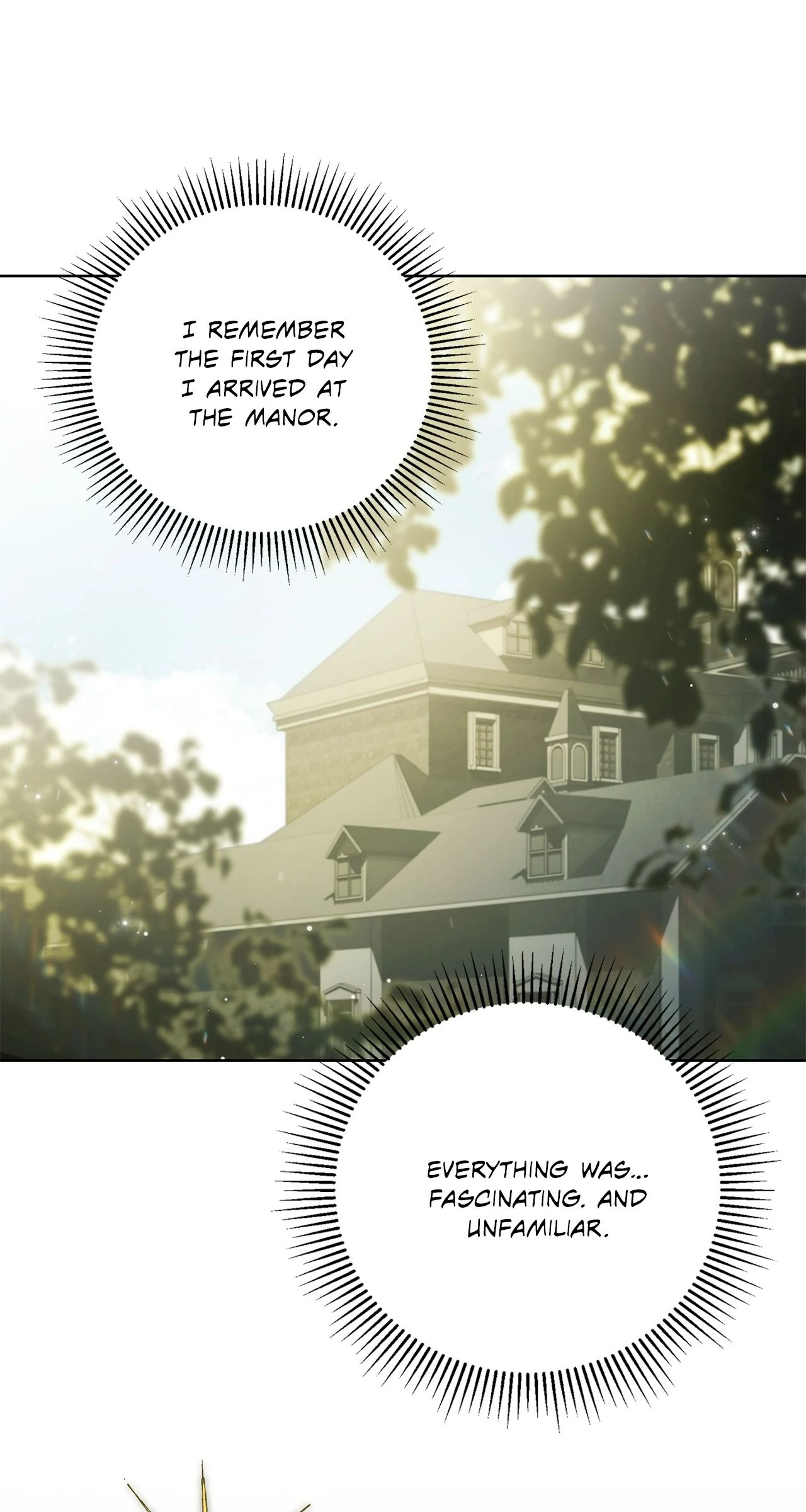 The Count’s Secret Maid Chapter 46 - page 49