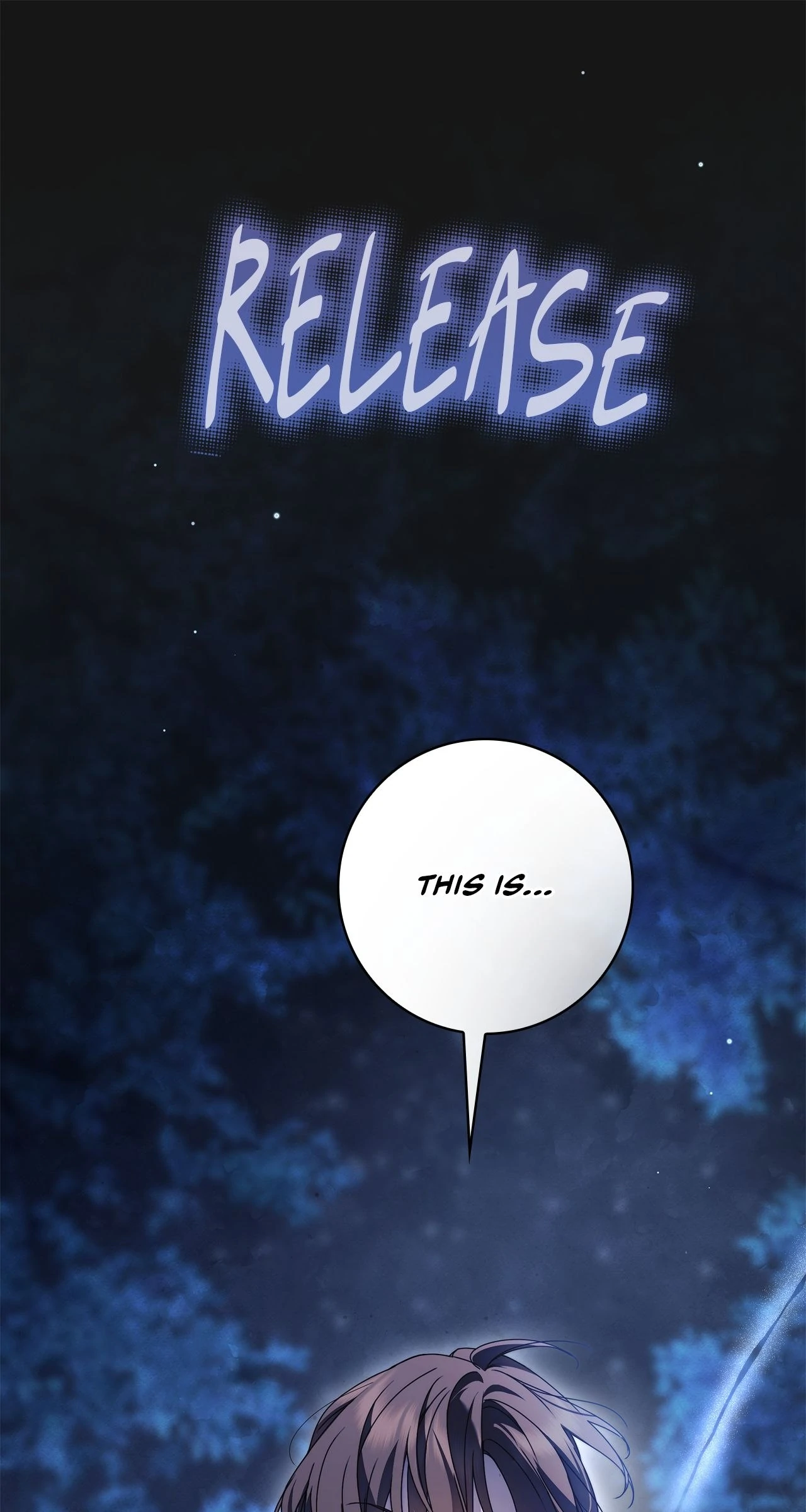 The Count’s Secret Maid Chapter 47 - page 17