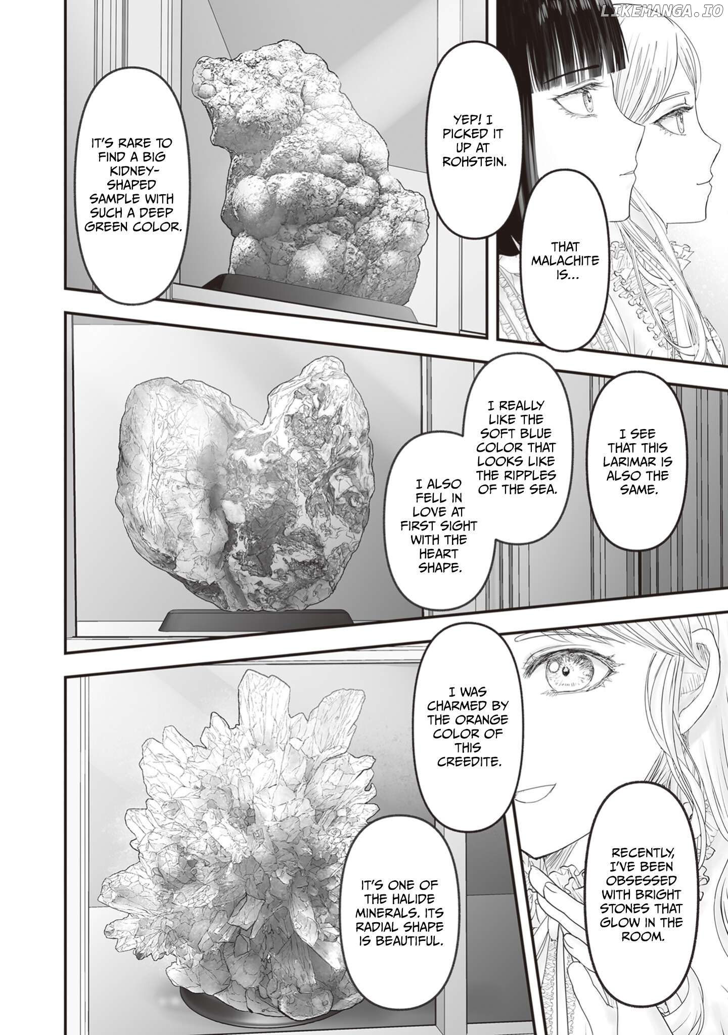 The Jeweller's Maid Chapter 25.5 - page 13