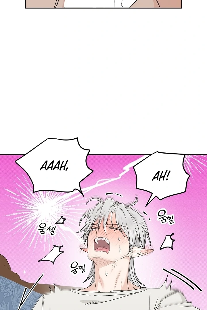 The Mating of Elves Chapter 41 - page 67