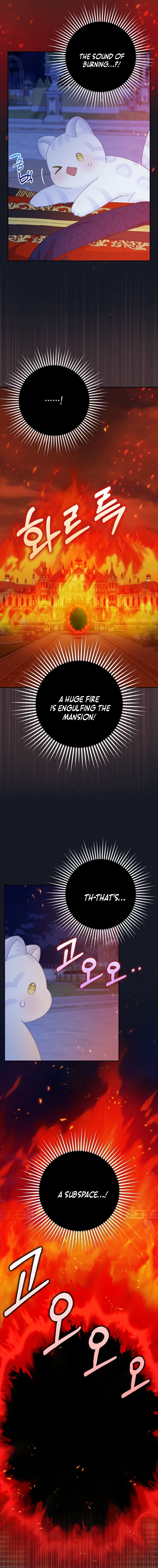 Baby Snow Leopard of the Black Leopard Family Chapter 41 - page 4