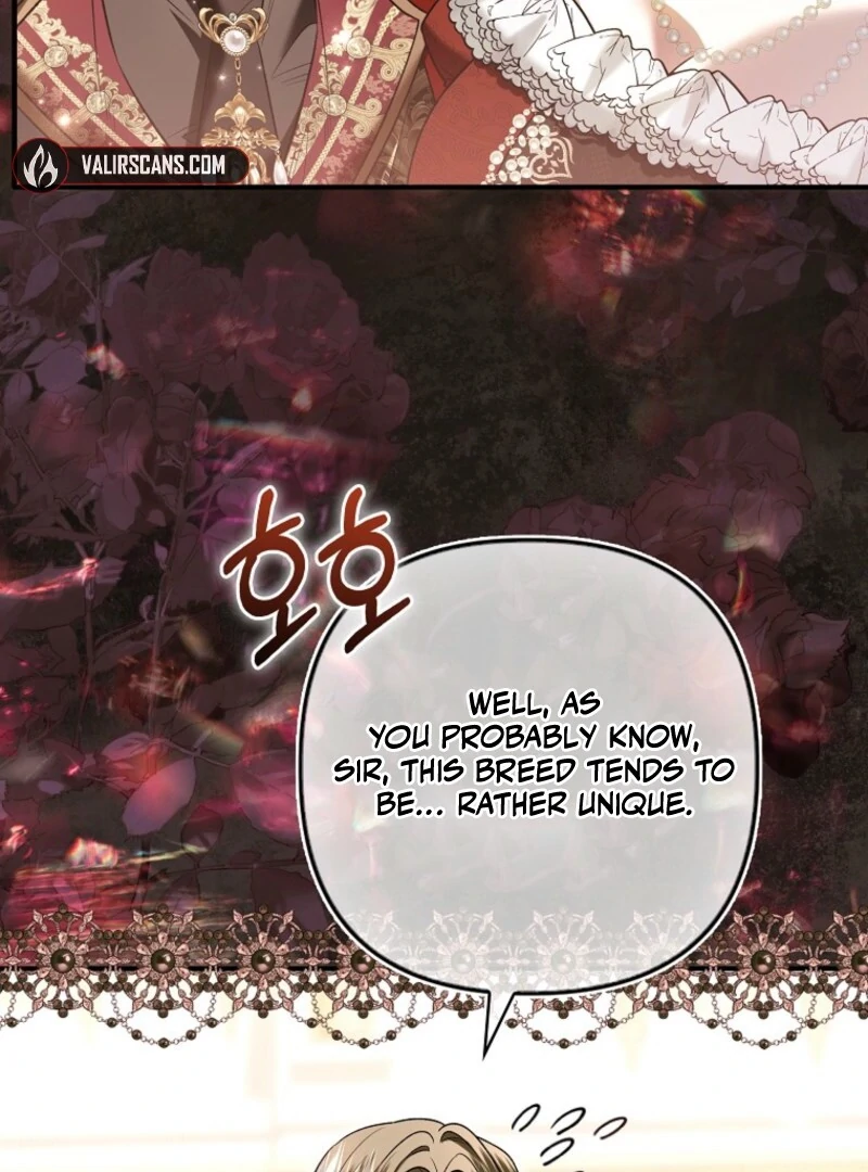 How to Reject a Perfect Marriage Chapter 36 - page 28