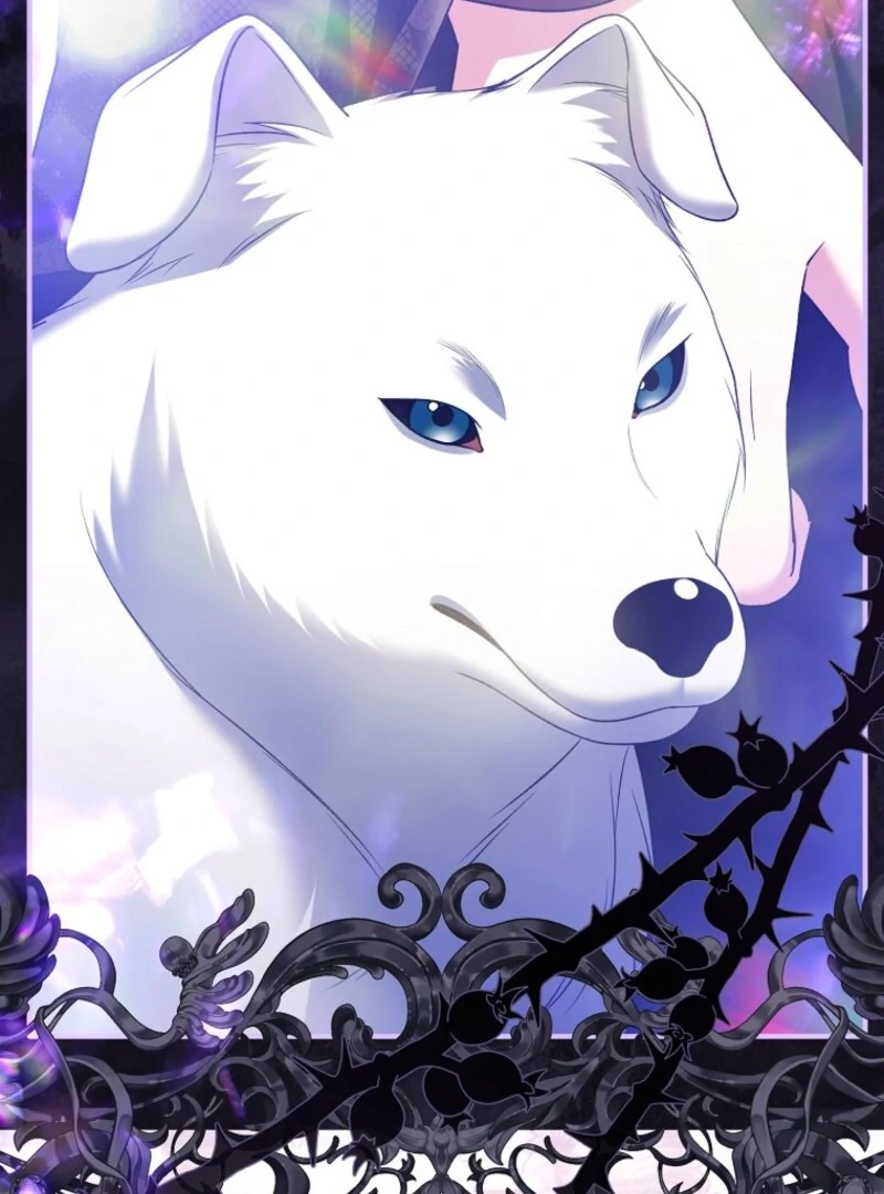 How to Reject a Perfect Marriage Chapter 36 - page 55