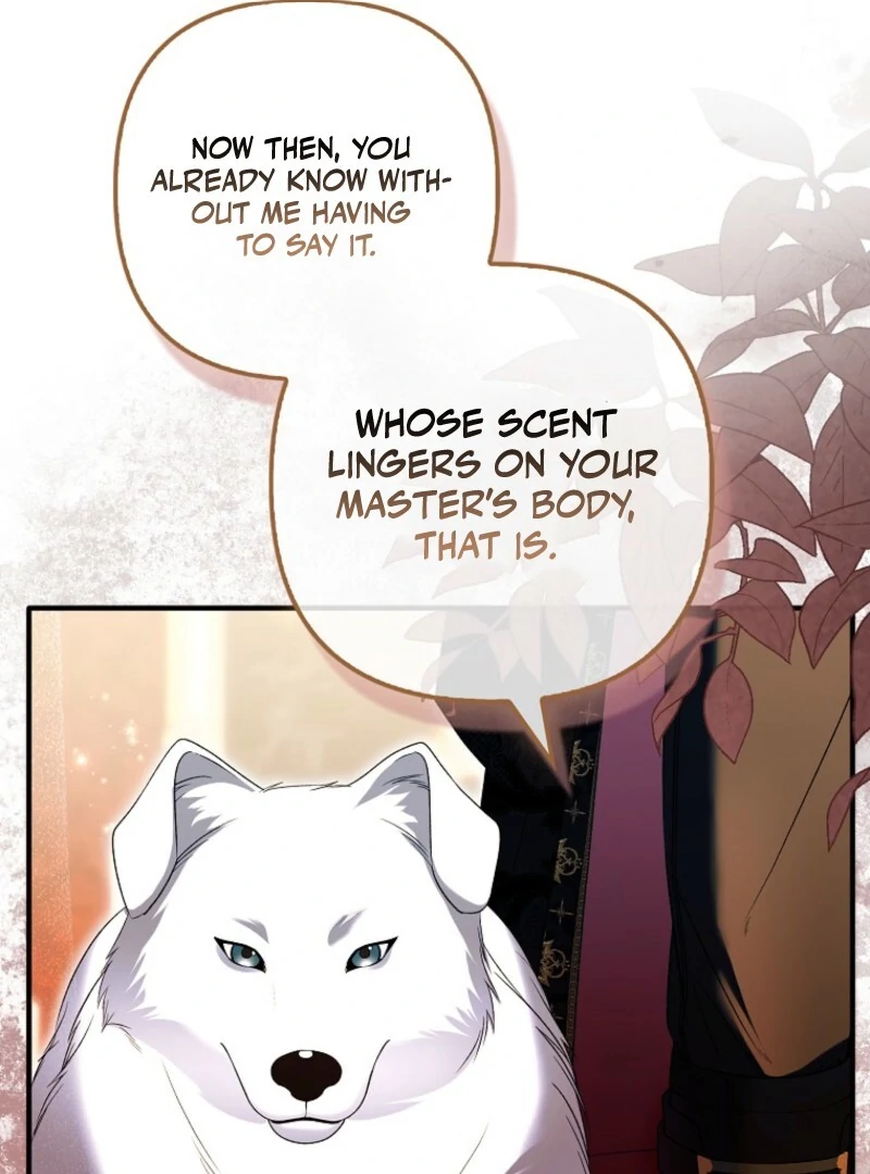 How to Reject a Perfect Marriage Chapter 36 - page 67