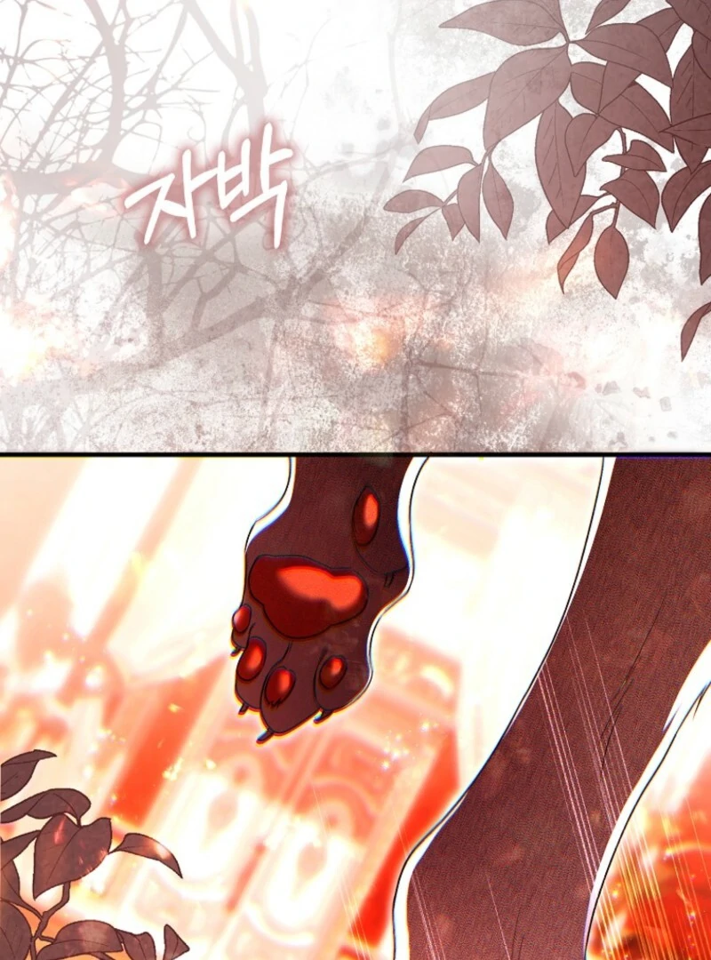 How to Reject a Perfect Marriage Chapter 36 - page 69