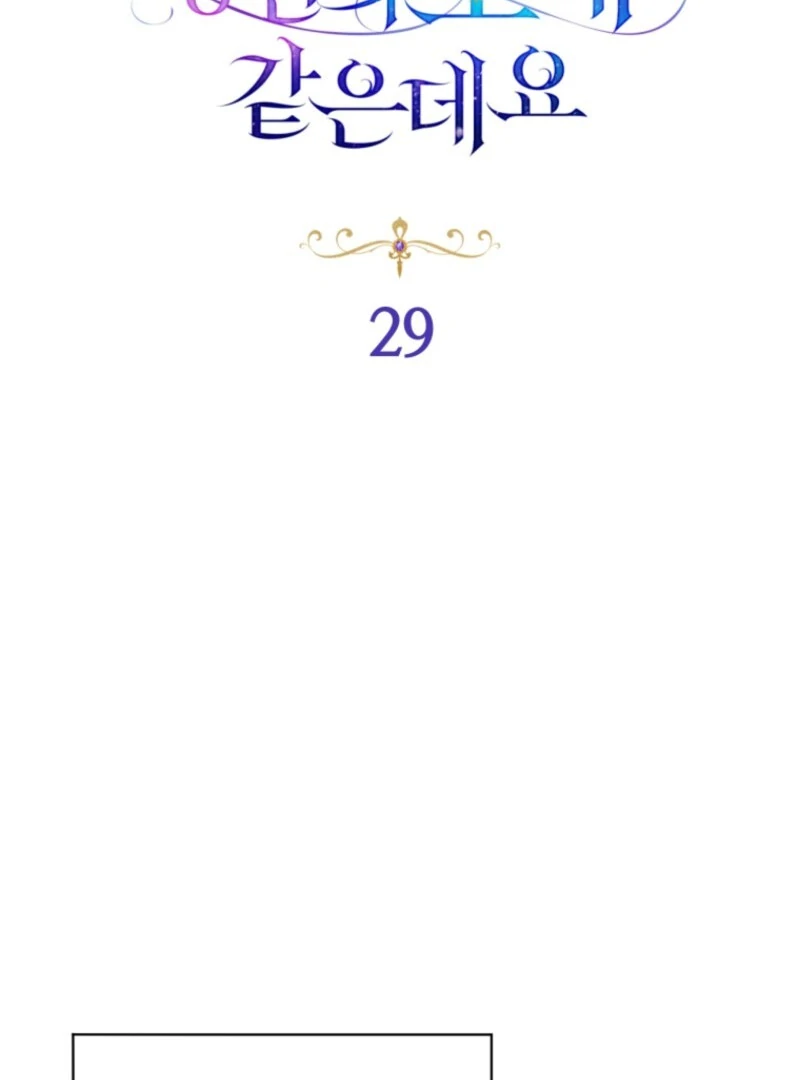 Honey, I Believe That’s Your Misunderstanding Chapter 29 - page 31