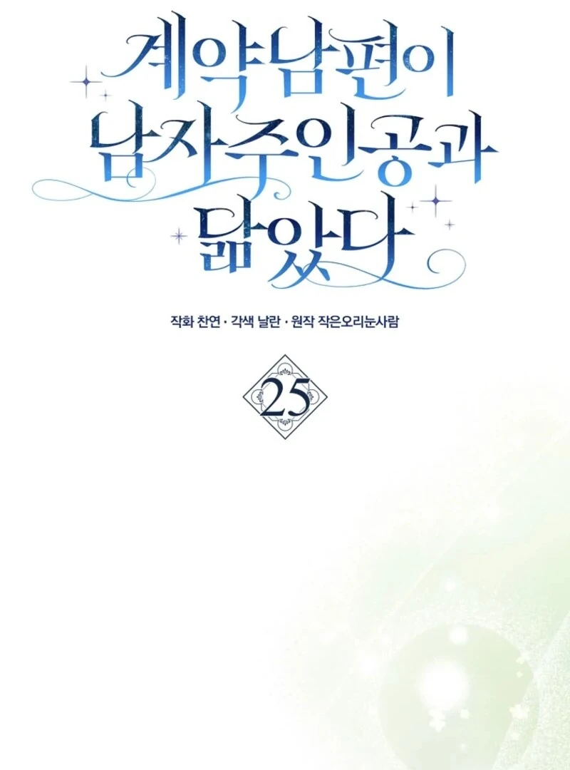 My Contract Husband Resembles the Male Protagonist Chapter 25 - page 27