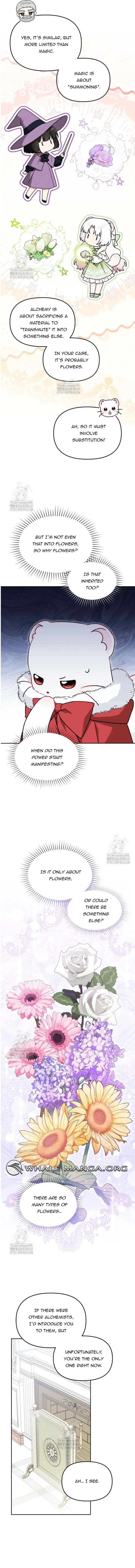 The Villain’s Daughter in law is Inherently Powerful Chapter 25 - page 5