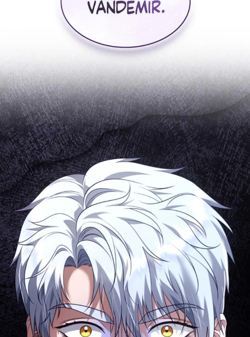 In the Name of Special Contract Marriage Chapter 11 - page 161