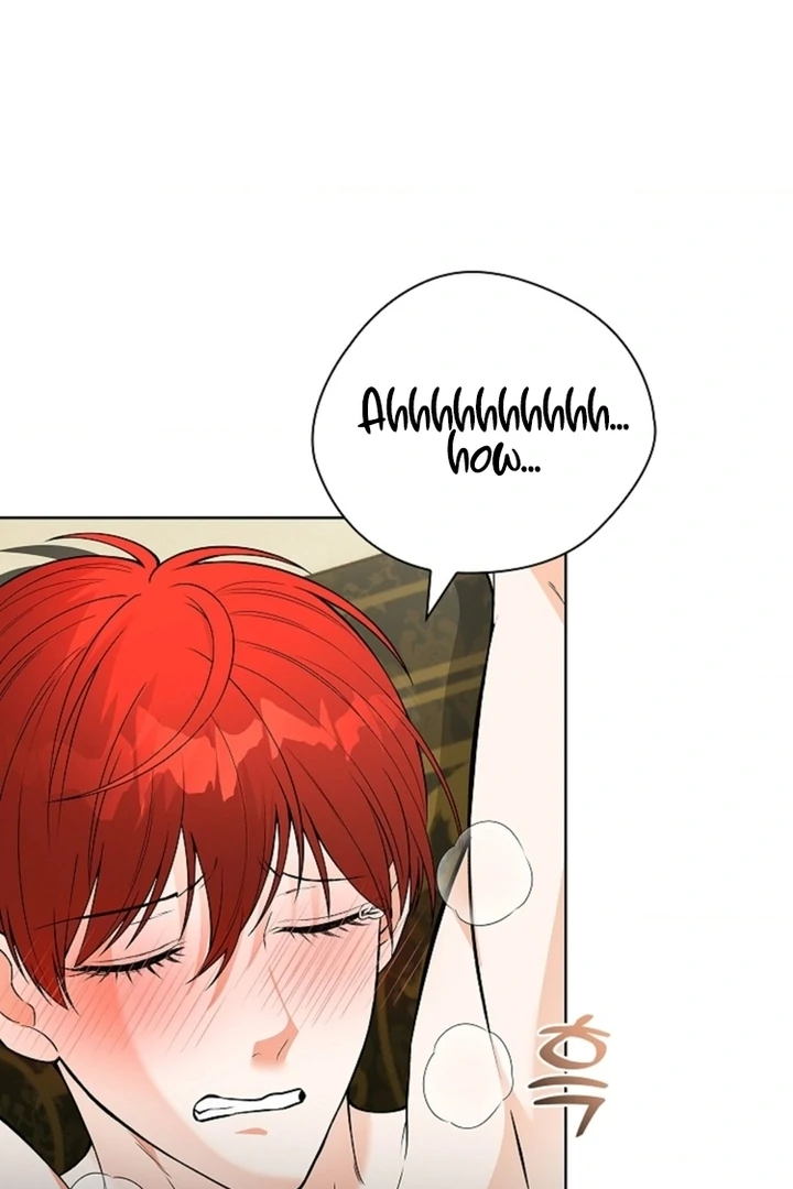 The Saintess's Petals Become Wet Chapter 12 - page 4