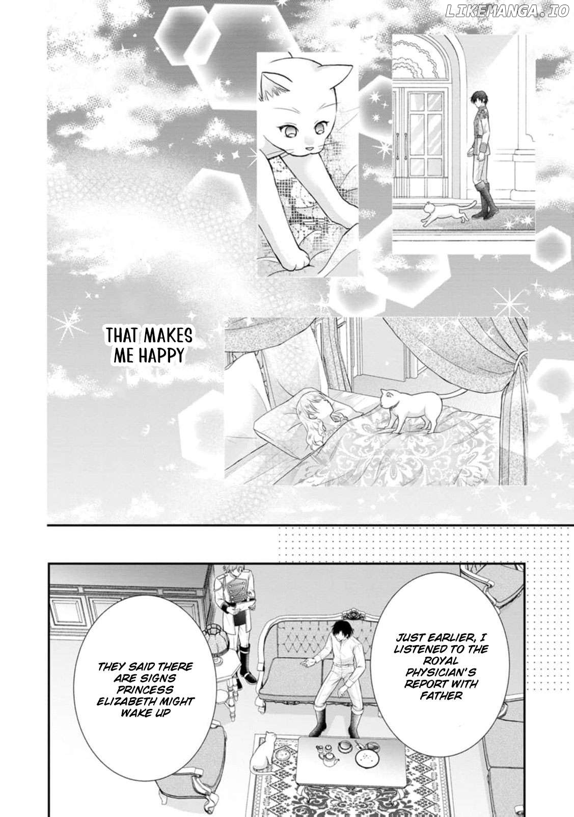 The Villainess Cursed into a Cat Is Taken In by the Crown Prince Chapter 7 - page 13