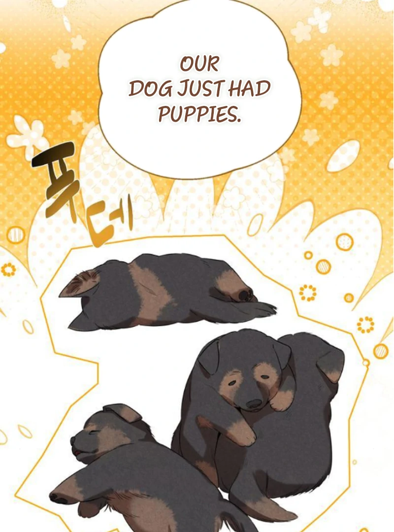 At the Place Where the Golden Rose Broke Chapter 13 - page 101