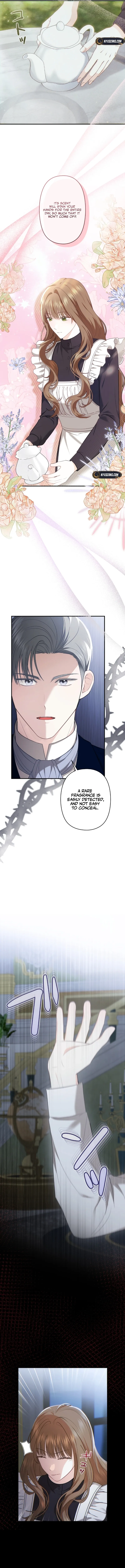 The Duke delights in tormenting me Chapter 5 - page 6