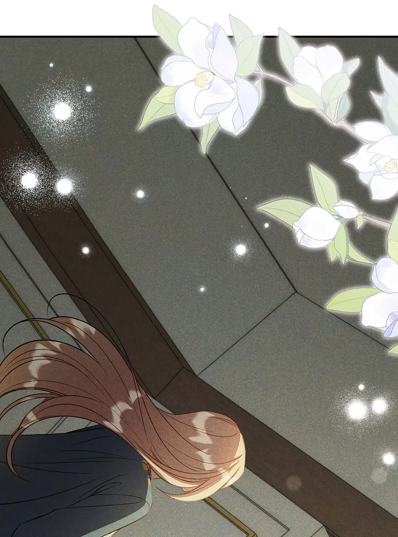 Lily Bush's Substitute Marriage Chapter 16 - page 80